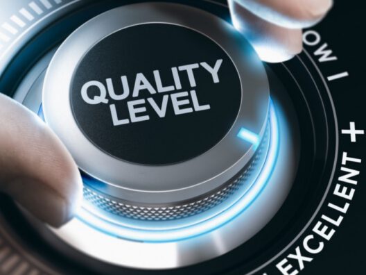 La Calidad como ventaja competitiva en un mercado globalizado